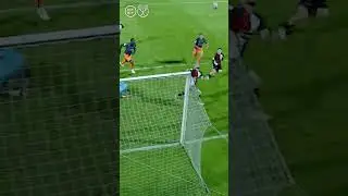 Insane cat reflexes 🐈 Jaume Dom&egrave;nech 🔝