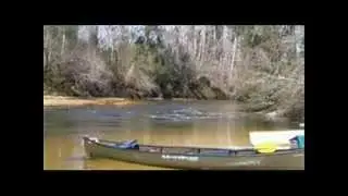 Green River CCR cover mark sings