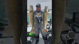 Must try walleye jigging technique #howto #catch #more #fish #fishing #fishingvideo #shorts