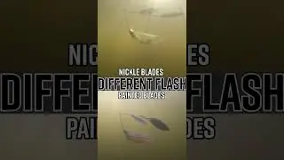 Painted Blades on Spinnerbaits: A Must-Have in Your Tackle Box