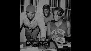 (FREE) A Tribe Called Quest, Midnight Marauders Type Beat | 