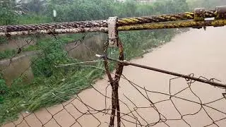 WALKING IN THE RAIN