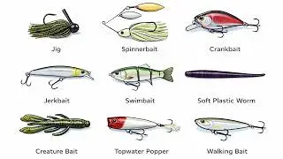 EVERY Fishing Lure,  Explained!