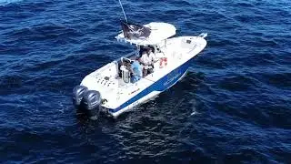 White Marlin ,Caught Off of Sandy Hook,NJ ,At The Mud Buoy￼