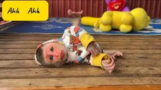 Baby Monkey&rsquo;s Adorable Wobbly Walk 🥺💛　