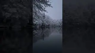 Reflections of Winter: Serene Lake and Snow-Covered Trees #snow #winter #aesthetic