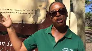 Fun things to do in St Lucia #02 &ndash; Explore Pigeon Island and the amazing Jambe de Bois restaurant