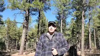 VR for Kevin Outdoors 1978 - Double GAW