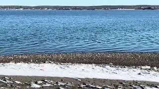 30+ seconds of zen on the snowy shoreline of Aquidneck Island 