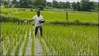 Raite Raju
