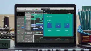 PRIMARIES / WOODS &mdash; WALKTHROUGH