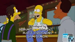 The Simpsons: 
