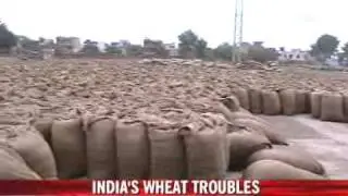 Govt wheat supply in PDS under stress