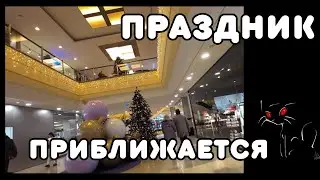 Кисюндра снова нашла уголок для души — случайно, конечно