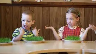 A Little Seed Song