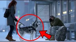 10 Tear-Jerking Soldier & Dog Reunions That Will Melt Your Heart 😭❤️🐾