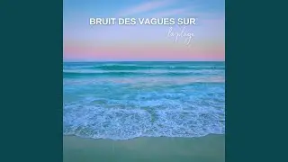 Bruit des vagues sur la plage, Pt. 01