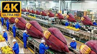 Si no se procesan rápido, se pierden: dentro de la fábrica de flores de plátano