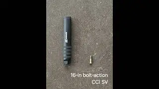 Episode 216 - Savage Arms AccuCan AC22 Intro and Silencer Cleaning Physics (19-JUN-2024)