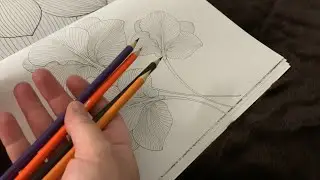ASMR | Hands | Colouring | No Talking