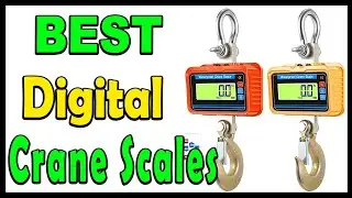 TOP 5 Best Digital Crane Scales Review 2025