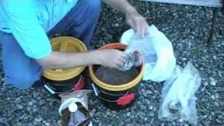 Pet Waste Disposal -- Using Microbes Part 2
