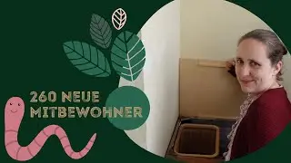 DIY - Wurmkiste - Kompostwürmer - Biomüll nachhaltig entsorgen