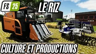 FS25 : Le guide ultime pour cultiver du riz comme un pro ! Avec les tableaux de rendements!