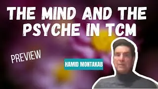 The Mind and the Psyche in TCM: Acupuncture for the Treatment of the Hidden Roots of Disease