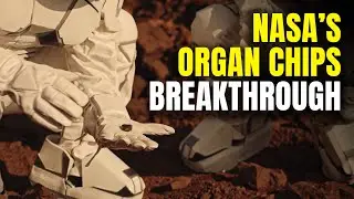 Органные чипы NASA: революционная космическая медицина, которая изменит лунные миссии #spacevrse