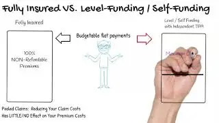 Fully Insured vs  Level   Self Funding
