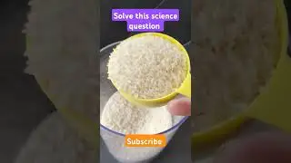 How does a cup of rice grow? #tamilsciencechannel #physics #tamilscience