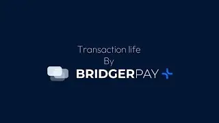 The Life of a Transaction: How BridgerPay Keeps Payments Moving