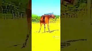 Twerking 🔥🔥💀