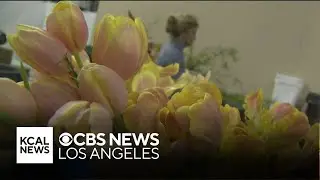 Los Angeles rallies behind flower shop that lost everything in Eaton Fire
