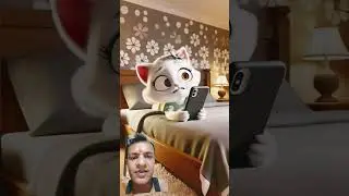 #cat #animation #funny #2025