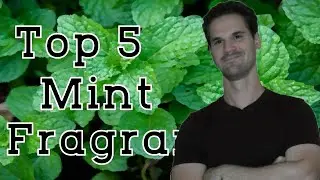 🌿🌿 Top 5 Mint Fragrances 🌿🌿