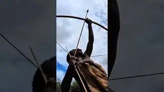 Explorando Macacos na Selva | Document&aacute;rio Sobre Comportamento e Rastros#reels