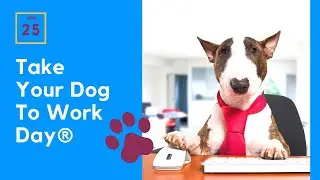 Take Your Dog To Work Day - Do you have a dog-friendly workplace?