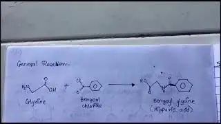Synthesis of Hippuric Acid from Glycine