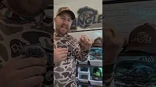🚨 Dove Hunting Shirt Giveaway! | Win FREE Gear 🕊️👕