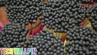 Experiment 5000 Match Sticks Vs Egg Plant | Amazing Crazy Osm Experiment