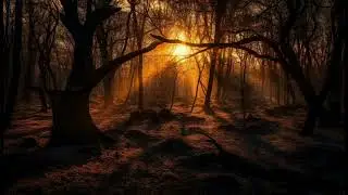 Halloween Special: Spooky Woods In Autumn