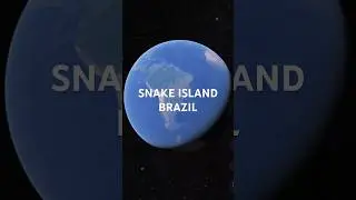 Ilha da Queimada Grande: Why Brazil Sealed Off Snake Island