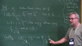 A panorama on Singularities: Algebra, Geometry, Topology and Applications -  Juan J.