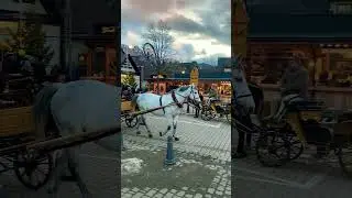 Закопане. Город в Польше. #zakopane #viral #рождество #shorts