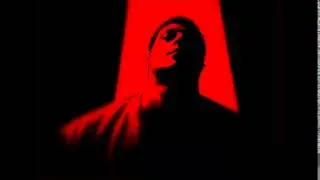 RONIN8 - ATTITUDE