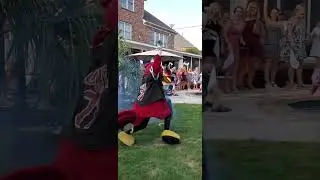 USC Gamecock 