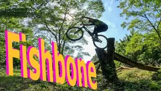 Fishbone