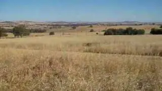 Cowra Prisoner Of War Camp